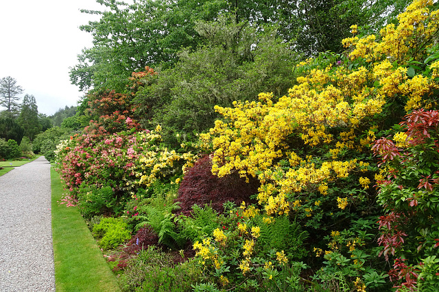Inveraray Castle Gardens