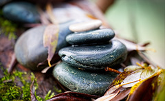 Steine angereiht auf einen Baumstamm :))  Stones lined up on a tree trunk :))  Pierres alignées sur un tronc d'arbre :))