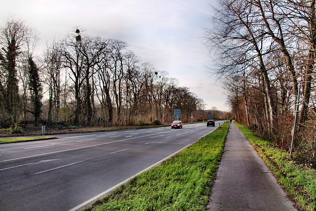 Ruhrorter Straße (Mülheim-Speldorf) / 7.01.2023