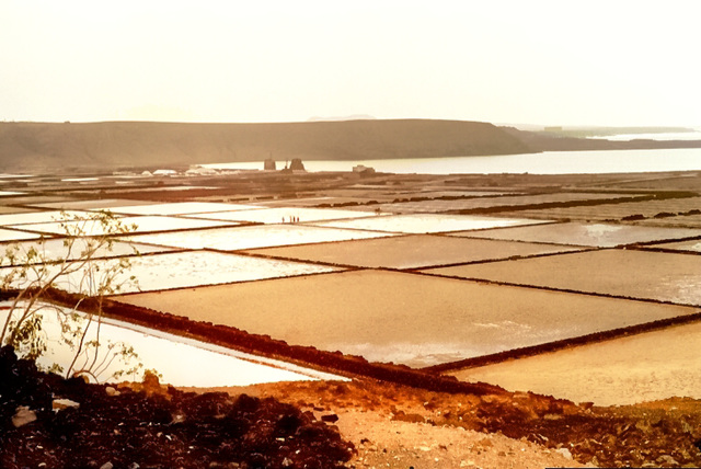 Salinas de Janubio. ©UdoSm