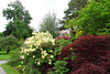 Inveraray Castle Gardens