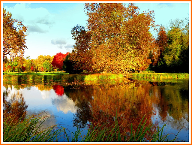 Automne à Chantilly ( Picardie)