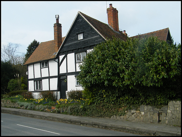 springtime at Tudor Cottage