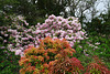 Inveraray Castle Gardens