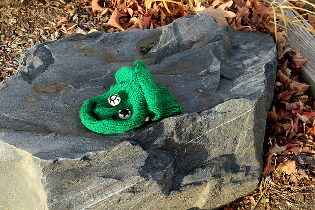 Lost Alligator Mitten