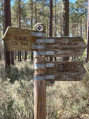 In the 16 sq miles of the Culbin Forest without signposting you would become easily lost.