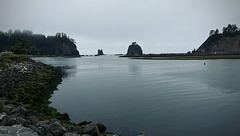 Quileute Marina