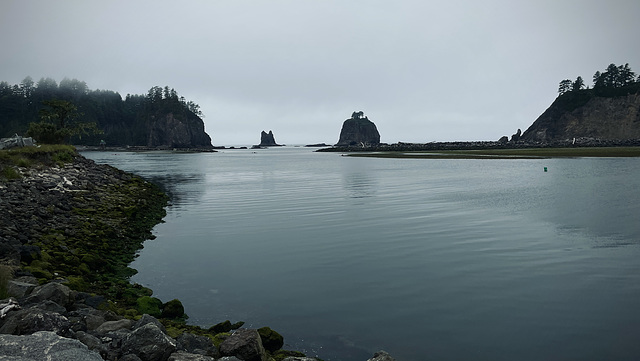 Quileute Marina