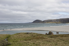 Auf Varanger: zwischen Syltefjord und Berlevåg
