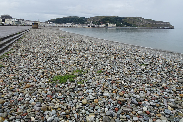 Llandudno Beach