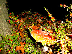 P1210650