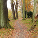 Walking path in Autumn 2