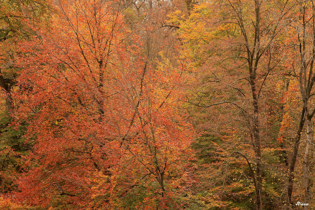 Automne en Picardie