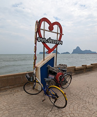 Bee & Ploy - vélos loués / Our rented bicycles