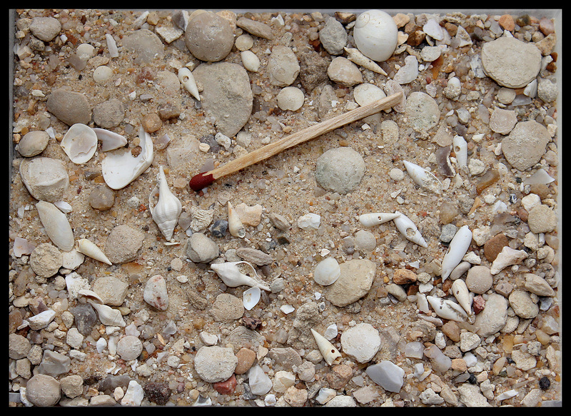 Sable Fossilifère Eocène (Burdigalien)