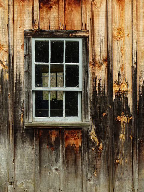 Day 3, front of DeLaurier house, Pt Pelee