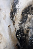 DSCF7793
