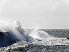 ce matin ca tangue