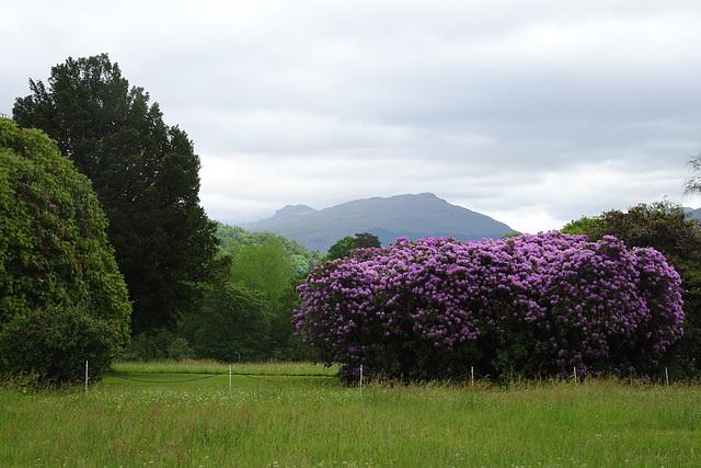 View From Inveraray Castle