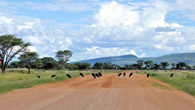 HFF von der Straße nach Otjimbingwe