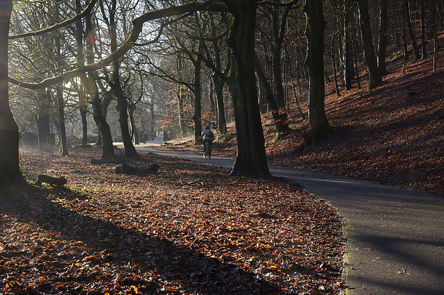 A ride in Dunwood park