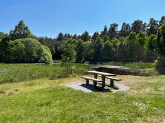Bench by the Gravel pit, Culbin Forest