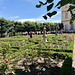 Bamberg 2026 – Neue Residenz – Rosengarten
