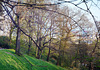 park-754-756 Panorama1