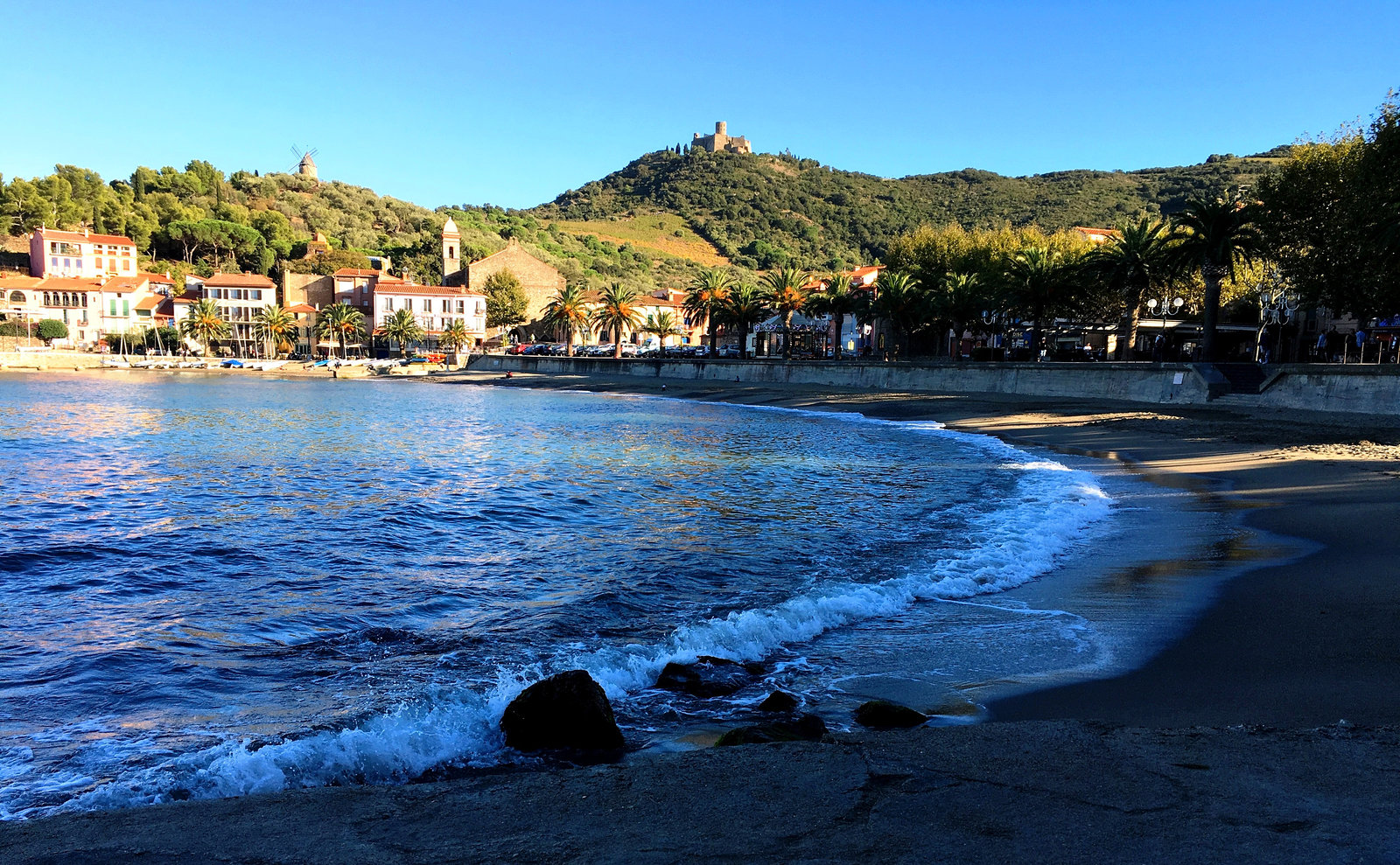 FR - Collioure - Plage de Port d'Avall