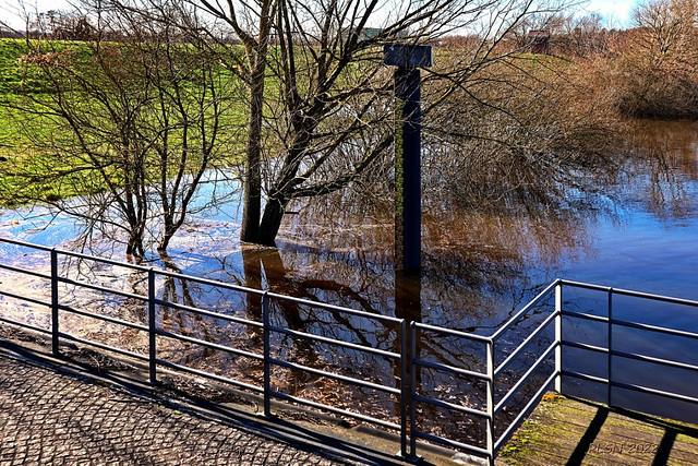 Ein bisschen Hochwasser ... HFF!