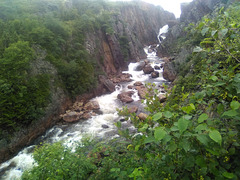 Chute en région sauvage / Cadere nella natura selvaggia