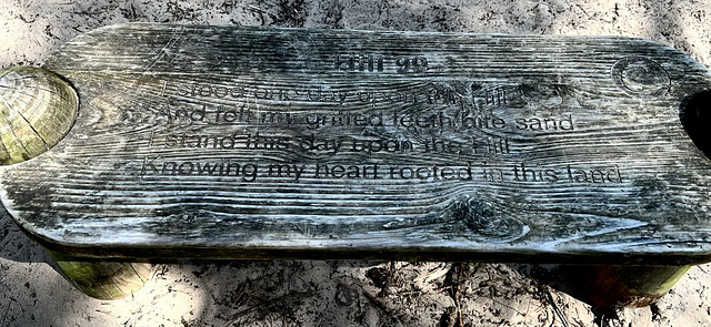 Inscribed benches atop Hill 99, Culbin Forest