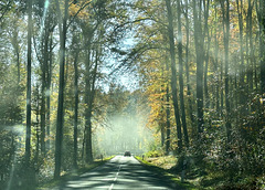 Herbstnebel