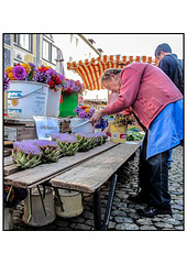 Freiburg Markt