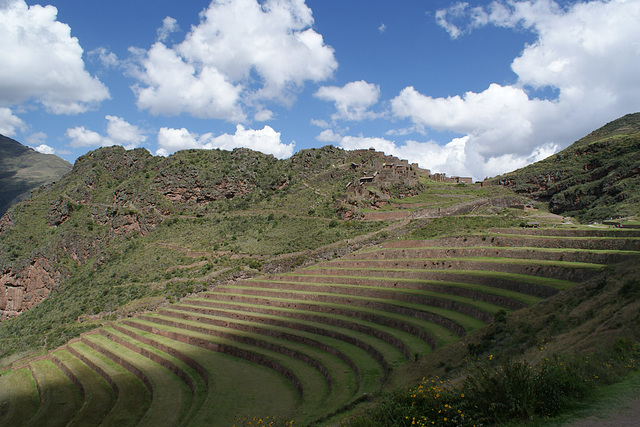 Terraces Of Pisac