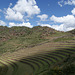 Terraces Of Pisac