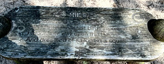 Inscribed benches atop Hill 99, Culbin Forest