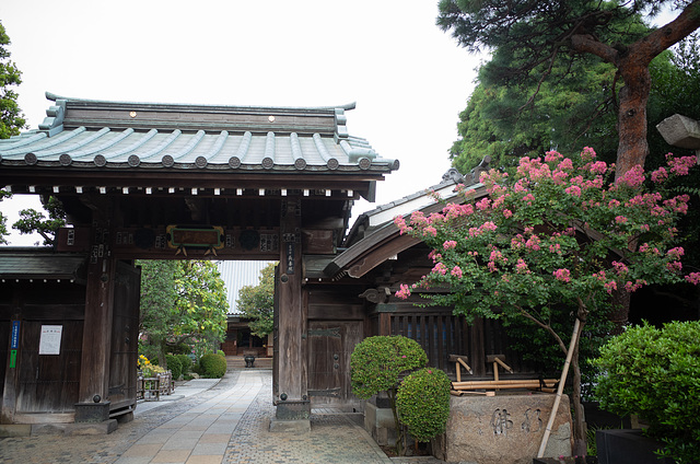 Temple with crepe-myrtle