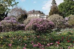 Im Hermannshof Weinheim
