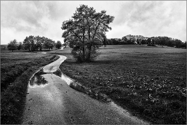 Chemin de pluie.