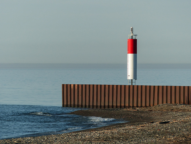 Trip to Rondeau Provincial Park, Day 2