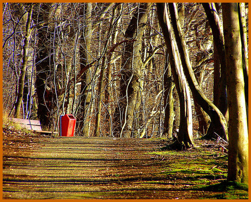 Forest Autumn-HBM