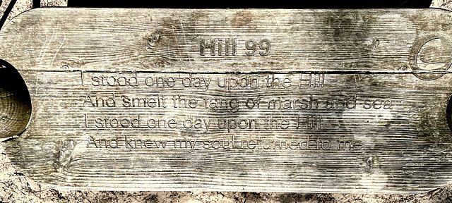 I stood one day upon the hillAnd smelt the tang of marsh and sea.I stood one day upon the hill And knew my sould returned to me.