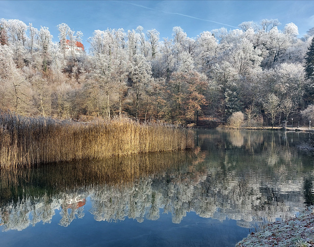 Neujahrsspaziergang