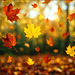 (Herbst)Konfetti