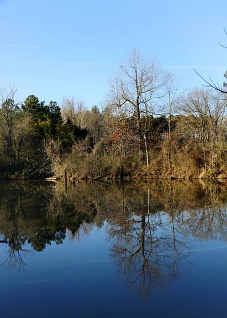 A Quiet Pond