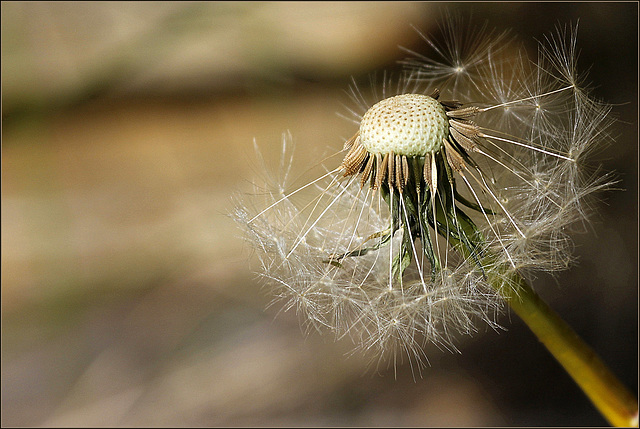 Pret aux voyages