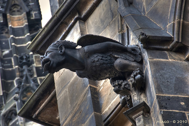 Praha - St. Vitus Cathedral ¦ pilago