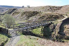 Bridle bridge