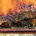 Colourful Crust of Rust!
